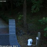 Stainless steel electric kettle on a kitchen counter
